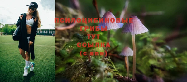 индика Абаза