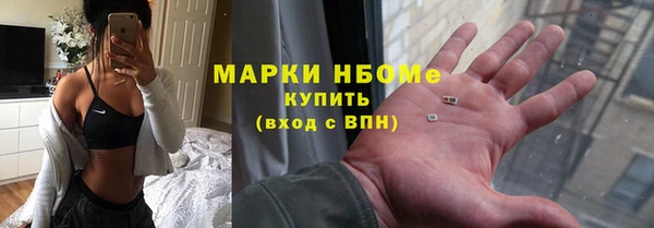 индика Сафоново