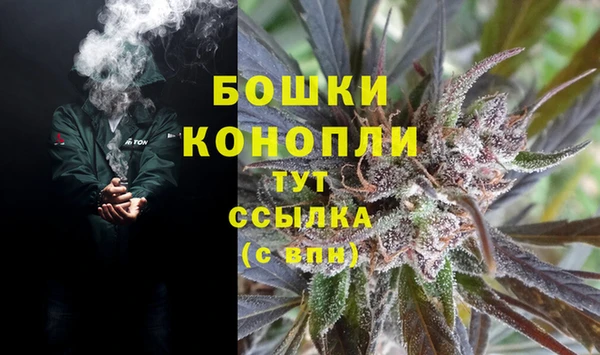 индика Абаза