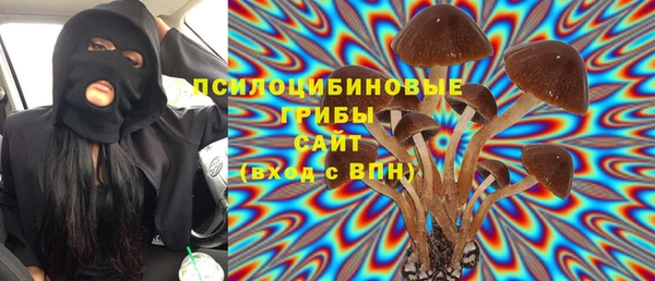 индика Абаза
