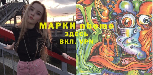 индика Абаза