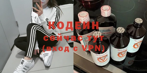 индика Абаза