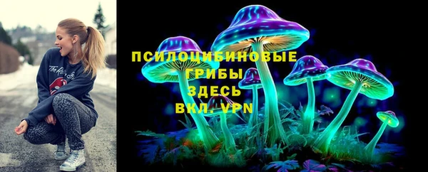 индика Абаза