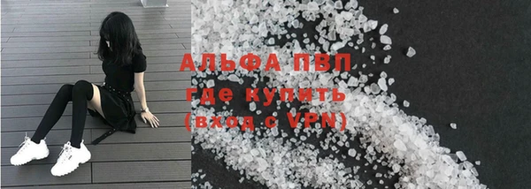 индика Абаза