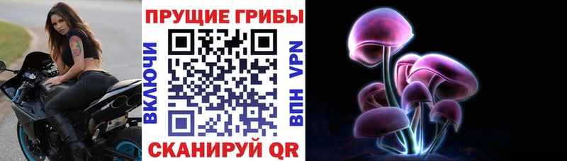 магазин продажи наркотиков  Кирсанов  Псилоцибиновые грибы прущие грибы 